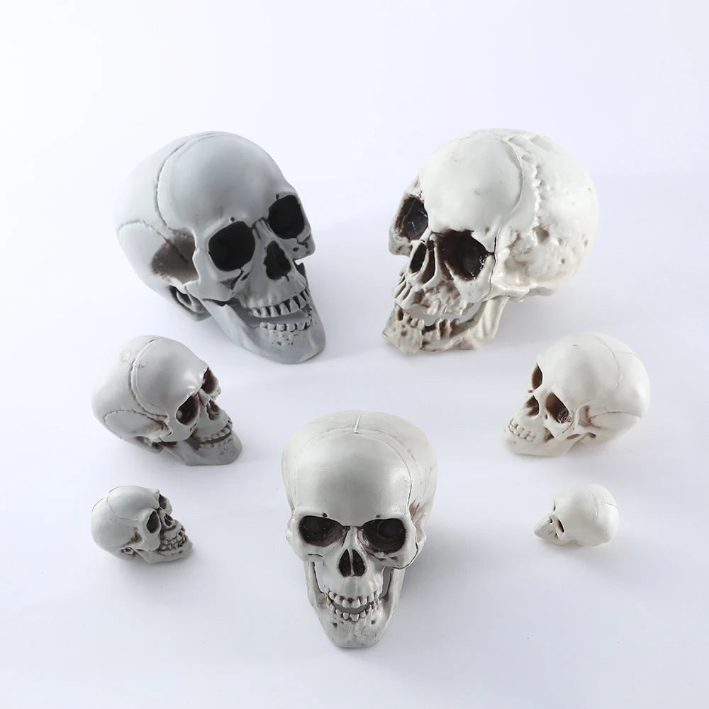 Halloween Skull Decor Prop Skeleton Head Realistic