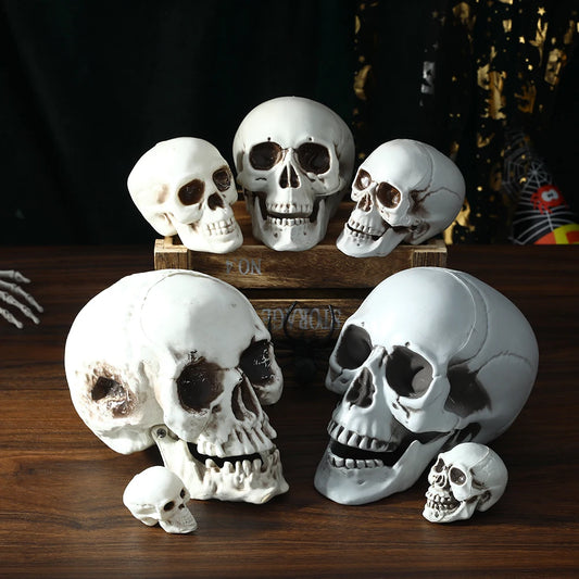 Halloween Skull Decor Prop Skeleton Head Realistic